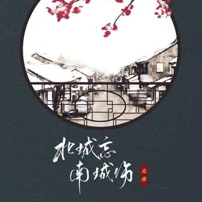 北城忘 南城伤(DJ小帽版)封面
