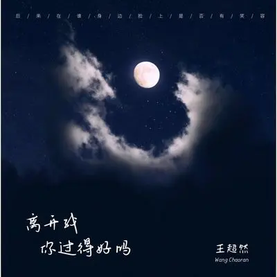 离开我你过得好吗(伴奏) - 王超然封面