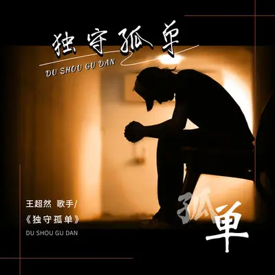 独守孤单 - 王超然封面