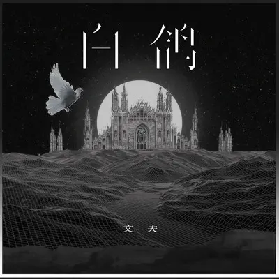 白鸽封面