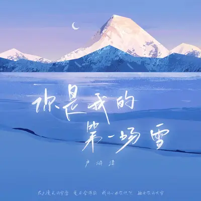 你是我的第一场雪封面