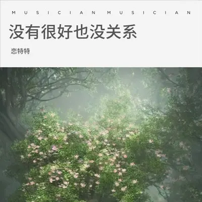 没有很好也没关系（Live合唱版） - 恋特特封面