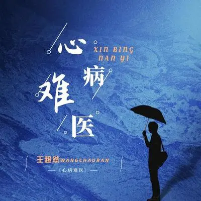 心病难医封面