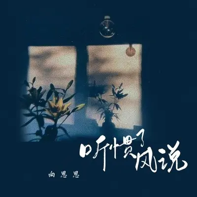 听惯了风说（完整版）封面