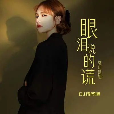 眼泪说的谎(DJ伟然版)封面