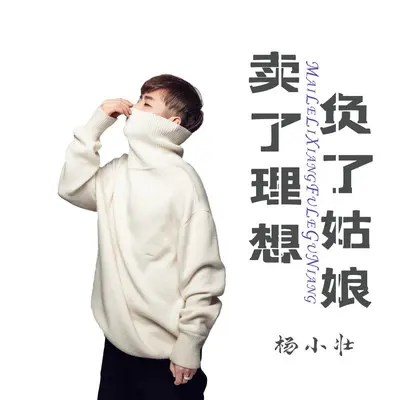 卖了理想负了姑娘（完整版）封面