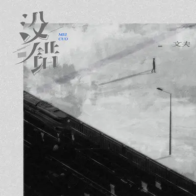 没错（完整版）封面