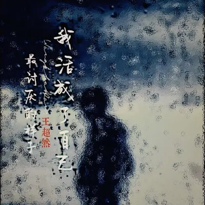 我活成了自己最讨厌的样子封面