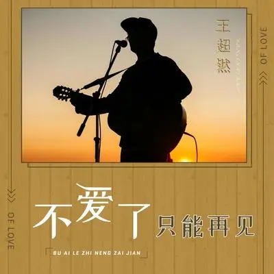 不爱了只能再见(DJ阿能版) - 王超然封面