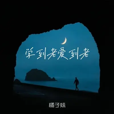 学到老爱到老（DJ小建版）封面
