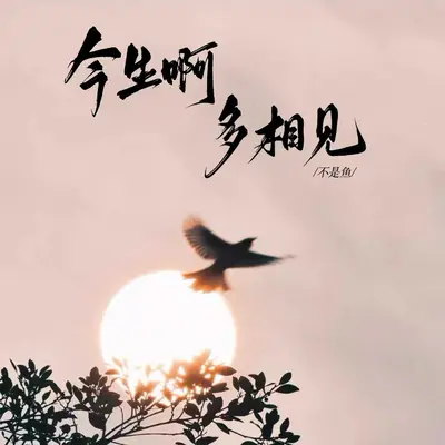 今生啊 多相见(女版)封面
