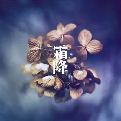 霜降封面