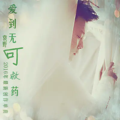 爱到无可救药封面