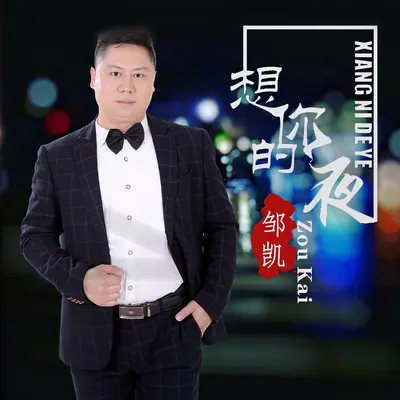 想你的夜封面