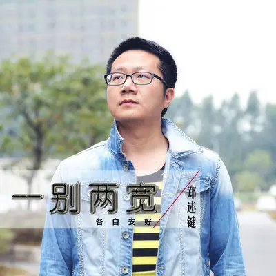 一别两宽各自安好封面