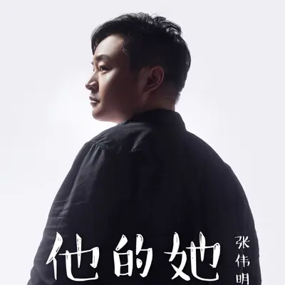 他的她 (摇滚版)封面