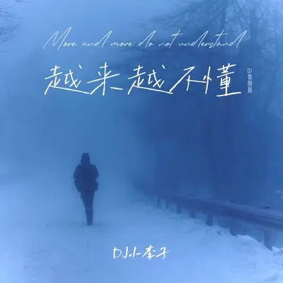 越来越不懂（DJ氛围版）封面