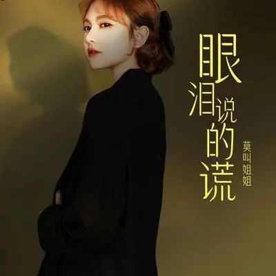 眼泪说的谎封面
