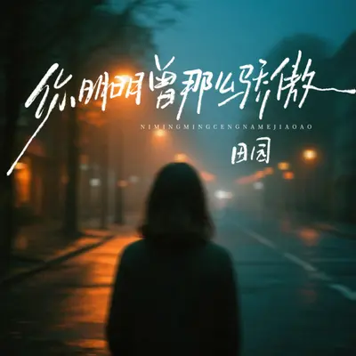 你也曾那么骄傲(剪辑版)封面