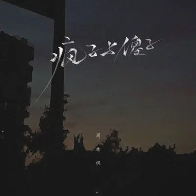 疯子与傻子封面