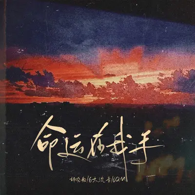 命运在我手（完整版）封面