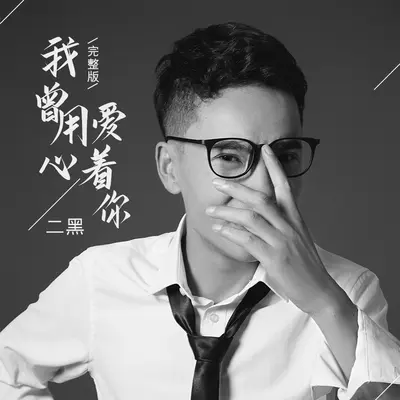 我曾用心爱着你(DJR7版)封面