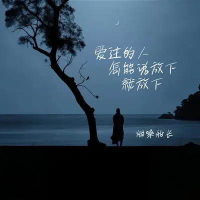 爱过的人怎能说放下就放下封面