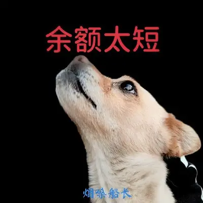 余额太短封面