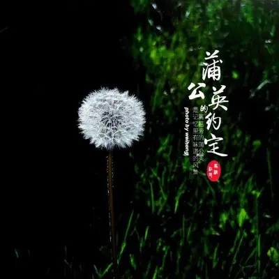 情话太甜 - 小米封面