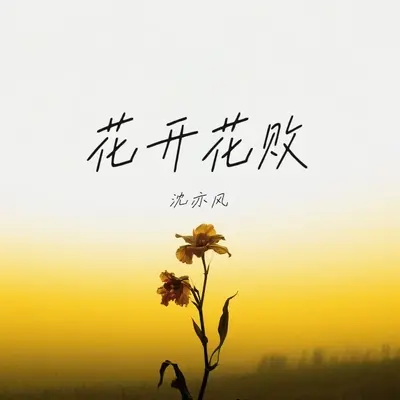 花开花败封面