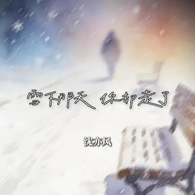 雪下那天你却走了封面