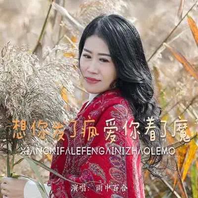 想你发了疯爱你着了魔封面