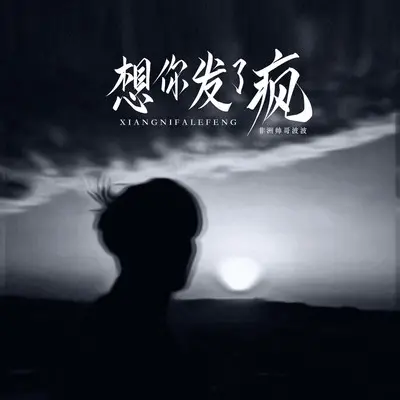 想你发了疯(帅哥波波团队版) - 卢旺达青年团封面
