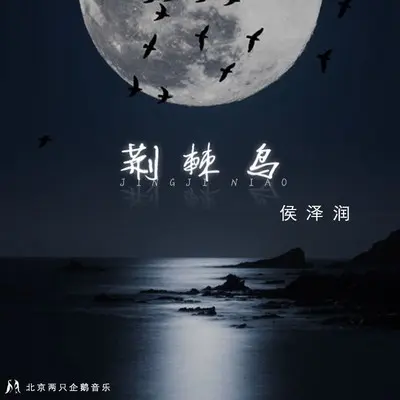 荆棘鸟封面