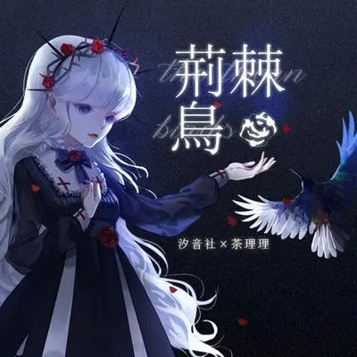 荆棘鸟封面