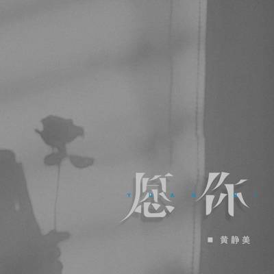 愿你（DJEva版x0.9） - 黄静美封面