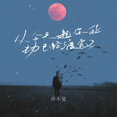 从今天起你的劫已经渡完了封面