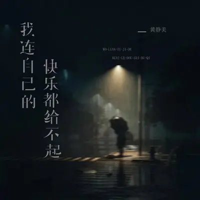 我连自己的快乐都给不起封面