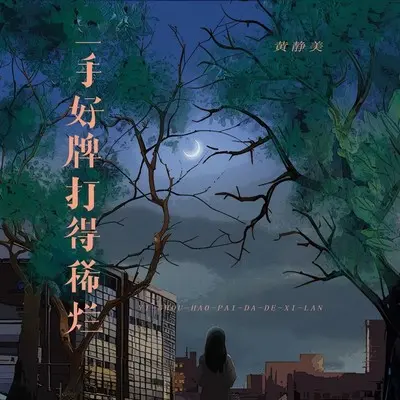 一手好牌打得稀烂 (DJ Eva版)封面