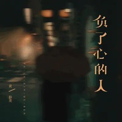 负了心的人封面