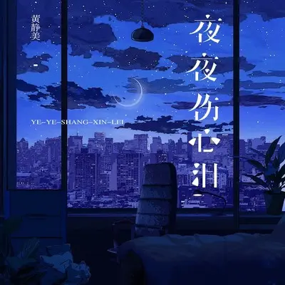 夜夜伤心泪（DJ Eva版）封面