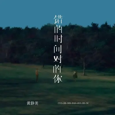 错的时间对的你封面