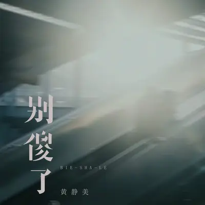 别傻了封面