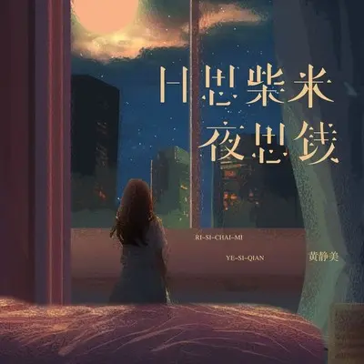 日思柴米夜思钱（DJ Eva版）封面