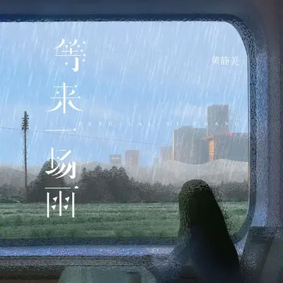 等来一场雨封面