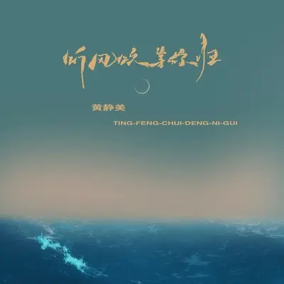 听风吹等你归封面