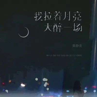 我拉着月亮大醉一场封面
