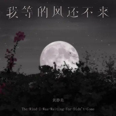 我等的风还不来封面