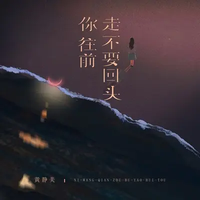 你总要学会往前走 (DJEva版) - 黄静美封面