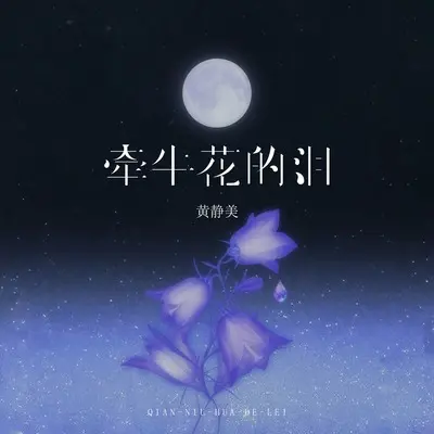 牵牛花的泪封面